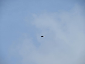 IMG_7651.JPG