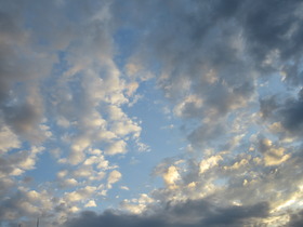 IMG_8947.JPG