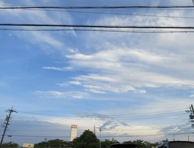 IMG_9172.JPG